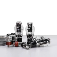 MUZISHARE X9 300B Amplificateur à tubes HIFI Pure Power Lampe intégrée Amplificateur équilibré à tube à vide de classe A asymétrique