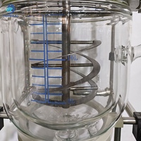 Reactor Químico Automático Encamisado de 15L (con Recipiente de Agitación) Diseñado para Plantas de Fabricación en Venta