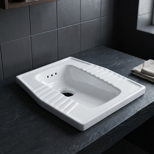 Vistaar Eastern White Squatting <b>Pan</b> Toilet <b>Ceramic</b> Sanitary Ware with Traditional African Design - Product Image 5