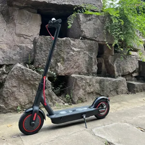 2024 Popular Ce Rohs Pro Scooter 10Ah 36V 350W Cheap Adults Electric Motorcycles Scooters High Speed