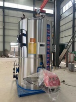 Generador de Vapor Vertical LHS de Encendido Rápido, Funciona con Aceite, Gas o GLP, Ahorro de Combustible para Pequeñas y Medianas Empresas