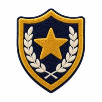 Patch chenille brodé personnalisé thermocollant pour veste scolaire, uniforme, équipe scolaire, vente en gros