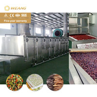 Séchoir à bande transporteuse continue pour aliments pour animaux de compagnie, raisins, myrtilles, algues, piments, herbes, noix de coco