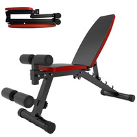 Banc d'exercices physiques pour musculation, haltères, accessoire professionnel pour perdre du poids