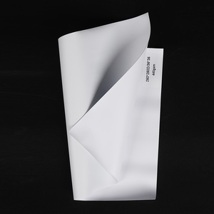 Bán Hot <span class=keywords><strong>Pvc</strong></span> <span class=keywords><strong>Flex</strong></span> <span class=keywords><strong>Banner</strong></span> Cuộn, In Ấn <span class=keywords><strong>Pvc</strong></span> <span class=keywords><strong>Banner</strong></span>, Trung Quốc Nhà Máy <span class=keywords><strong>Pvc</strong></span> <span class=keywords><strong>Banner</strong></span> 200*500 18*12 - Product Image 5