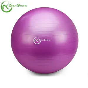 Pump Ball Zhensheng Yoga Ball 45cm/55cm/65cm/75cm/85cm Extra Thick Swiss Ball With Pump