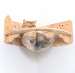 Puente y Estante de Madera para <span class=keywords><strong>Gatos</strong></span>, Muebles Completos para Sala de Estar, <span class=keywords><strong>Gimnasio</strong></span> de Pared para <span class=keywords><strong>Gatos</strong></span>, Set de Juego para Escalar Montado en la Pared - Product Image 2