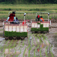 2025 mesin pemanjangan beras 6 baris, mesin pemanjangan nasi efisien