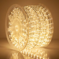 Guirlande LED IP65 5m/10m en rouleau, télécommande, découpable, 3000K, 150ft, pour extérieur, Noël, bâtiments, aménagement paysager, chemins, bordures, festivals