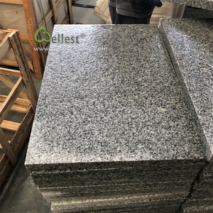 <span class=keywords><strong>China</strong></span> granito pedra <span class=keywords><strong>g603</strong></span> cinza claro granito chama telha piso ao ar livre granito telha - Product Image 3