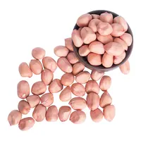 Peanut Kernels, Wholesale Price, 1 kg
