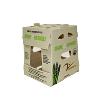 Boîtes d'emballage pour fruits, boîtes en plastique ondulé, boîtes en plastique pour fruits, boîtes d'emballage pour légumes, boîtes en plastique pour légumes