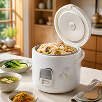 Mini-cuiseur à riz électrique 2,8 L avec revêtement antiadhésif, fonction maintien au chaud, boîtier en fer, inclut une tasse doseuse
