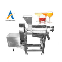 Industriële Kleine Model Koude Pers Fruit Oranje Citroen Plantaardige Spiral Mango Juicer Productielijn Machine Om Vruchtensap
