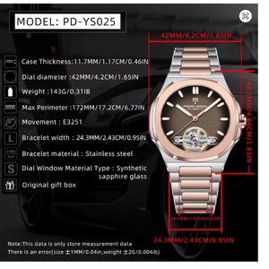 2025 Pagani Design Men's <b>Mechanical</b> Tourbillon <b>Watch</b> Sapphire Skeleton Luxury Stainless Steel Automatic <b>Watch</b> Gift Luxury Gift - Product Image 2