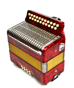 Đàn <span class=keywords><strong>Accordion</strong></span> Đàn Piano Bass 21 Phím 8 Kèm Dây Điều Chỉnh Được Túi Biểu Diễn Nhạc Cụ Cho Trẻ Em Người Mới Bắt Đầu Quà Tặng Âm Nhạc - Product Image 3