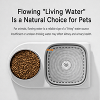 Fontaine à eau et gamelle pour animaux de compagnie Cat & Dog, écologique, moderne, 2L, silencieuse, à circulation, surélevée, inclinée à 15°, en acier inoxydable