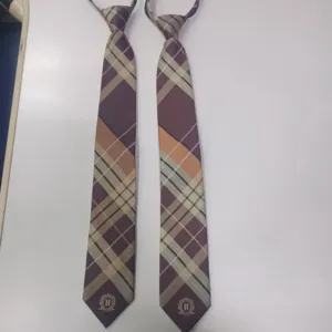 Gravata de tecido com zip de negócios para homens, gravatas chinesas de poliéster com logotipo personalizado para homens, com plástico PE reciclado