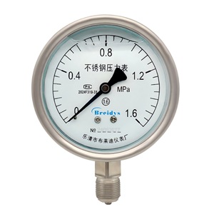 Manomètre en acier inoxydable YN100BF 100mm 0-1.6Mpa haute précision pour systèmes hydrauliques air-eau-huile - Product Image 1