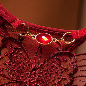 Nuove Idee di Prodotto 2026: Biancheria Intima Femminile Seducente, Ultra-Sottile con Ricami e Rete Trasparente - Product Image 6