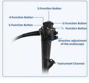 大威獣医用内視鏡 動物 馬 胃カメラ 馬用携帯型内視鏡 犬用 - Product Image 6