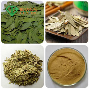 Водорастворимый порошок для похудения, экстракт листьев сенны, порошок, экстракт листьев 20% сенны, экстракт листьев сенны - Product Image 4