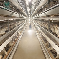 Système d'équipement avicole automatique pour poules pondeuses, cages en batterie de type H pour élevages de poulets pondeurs au Kenya