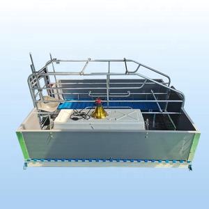 Equipo de Cría de Cerdos de la Marca HENGYIN, Certificado CE, Jaulas de Parto para Cerdos de Acero Galvanizado en Caliente, Totalmente Automáticas - Product Image 2