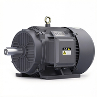 Moteur soufflant asynchrone haute performance et haute efficacité pour compresseur d'air