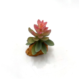 大型プランテサボテン鉢植え爬虫類植物タンク用 - Product Image 6