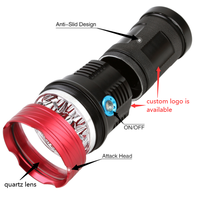 Lampe torche UV 310nm 300nm 305nm 315nm 308nm 311nm, lumière LED UV tactile