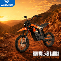 Vélo électrique avec indice de protection IPX4, charge maximale de 120 kg pour la conduite tout-terrain, fournisseur avec assurance commerciale, couleur personnalisée disponible