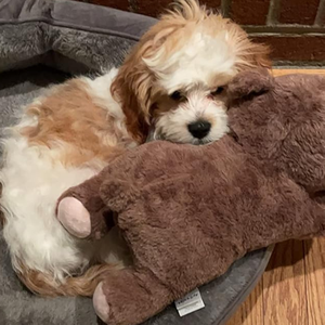 Vendita calda stile cartone animato cane ansia compagno di sonno giocattolo simulazione battito cardiaco giocattolo interattivo peluche per animali domestici - Product Image 6