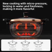 Casserole à micro-pression émaillée, marmite à double poignée pour la cuisson de la viande et la préparation de soupes, adaptée à un usage domestique sur cuisinière à gaz.