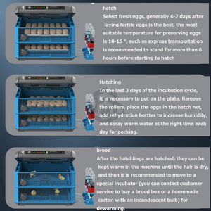 Máy ấp trứng gà mini Haching Machines, máy ấp trứng tự động 192 trứng, nguồn điện kép - Product Image 5