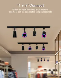 Multiroom Track Rail Speaker Special Configuration With Track Light Rail Mount