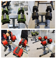 Ensemble d'haltères réglables en fonte et caoutchouc colorés de haute qualité, personnalisables avec logo WENDY, très demandés pour l'exercice en salle de sport