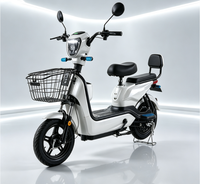Vélo électrique pour adultes 48V haute performance, moteur sans balais, étanche, pneus anti-explosion, vélo électrique à deux places