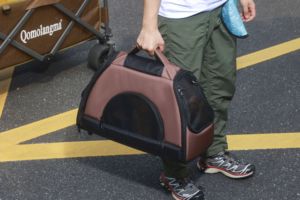 Kediler ve köpekler için dayanıklı Oxford <span class=keywords><strong>Pet</strong></span> seyahat taşıyıcısı taşınabilir nefes çanta - Product Image 6