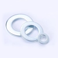 0.1mm 0.2mm 0.3mm 0.5mm Flat Custom Zinc Plated 18-8 Stainless Steel Shim Washers