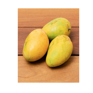 Mangues <span class=keywords><strong>Kesar</strong></span> de qualité supérieure, mangues indiennes fraîches et naturelles, arôme sucré, saveur riche, qualité d'exportation, mangues fraîches de ferme pour la vente en gros - Product Image 6
