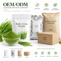 Poudre d'herbe d'orge naturelle LongBio, poudre de feuilles de jeunes pousses d'orge (Hordeum Vulgare), superaliment vert, complément alimentaire et boisson, en vrac, OEM