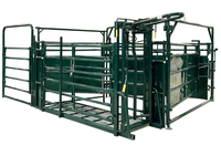Chute d'encastrement pour bétail, très demandée, de qualité supérieure, facilement assemblable, avec structure métallique galvanisée, design écologique, hauteur de 6 pieds, modèle européen