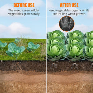 Estera de malezas de plástico agrícola negro a bajo precio de fábrica PP/PE cubierta de suelo tejida servicio de procesamiento de moldes Control efectivo malezas - Product Image 4