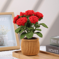 Ensemble de démarrage pour crochet et tricot pour adultes Kit d'artisanat textile pour cactus et plantes pour débutants