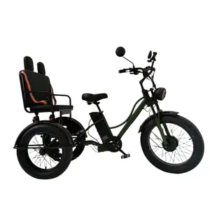 750W 48V 15A 24-Inch Electric Tricycle with Snow Fat Tire Lithium Battery Cargo Trike Assisted by Electric Motor