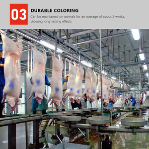 HOSEN Brand Eco-Friendly Aerosol Spray Paint for Slaughterhouse 250ml Animal Marking Water-Based Formula - Product Image 6