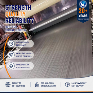 Mill Source ASTM Standard CNC Cutting 310S HL Finish Cold Rolled 5.0mm 1000mm ASTM A240 Stainless Steel Sheet - Product Image 1