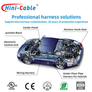 可定制的 2 针汽车用 PVC 铜线束 HINICABLE AWH-001 提供特定应用服务 - Product Image 4