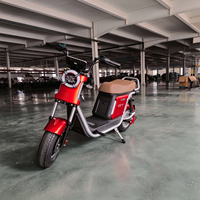 Scooter électrique de style Harley, mini Citycoco, pneus de 8 pouces, 1000W, 60V LiFePO4, pour adultes, fabriqué en usine au Hebei, à prix avantageux